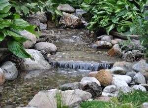 New Jersey Pond Services & Water Garden Services | Full Service ...