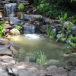 Pond Repair Services New Jersey