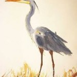 blue heron nj