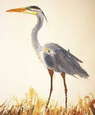 blue heron nj