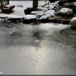 pond care new jersey NJ