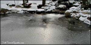 Pond in winter that is frozen over