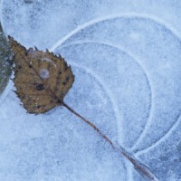 Frozen pond