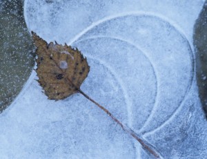 Frozen pond