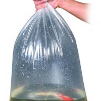 acclimating your fish