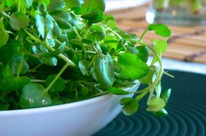 watercress