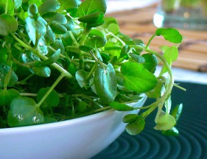 watercress