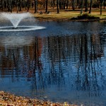 Water Quality Improvement For Natural Ponds In New Jersey