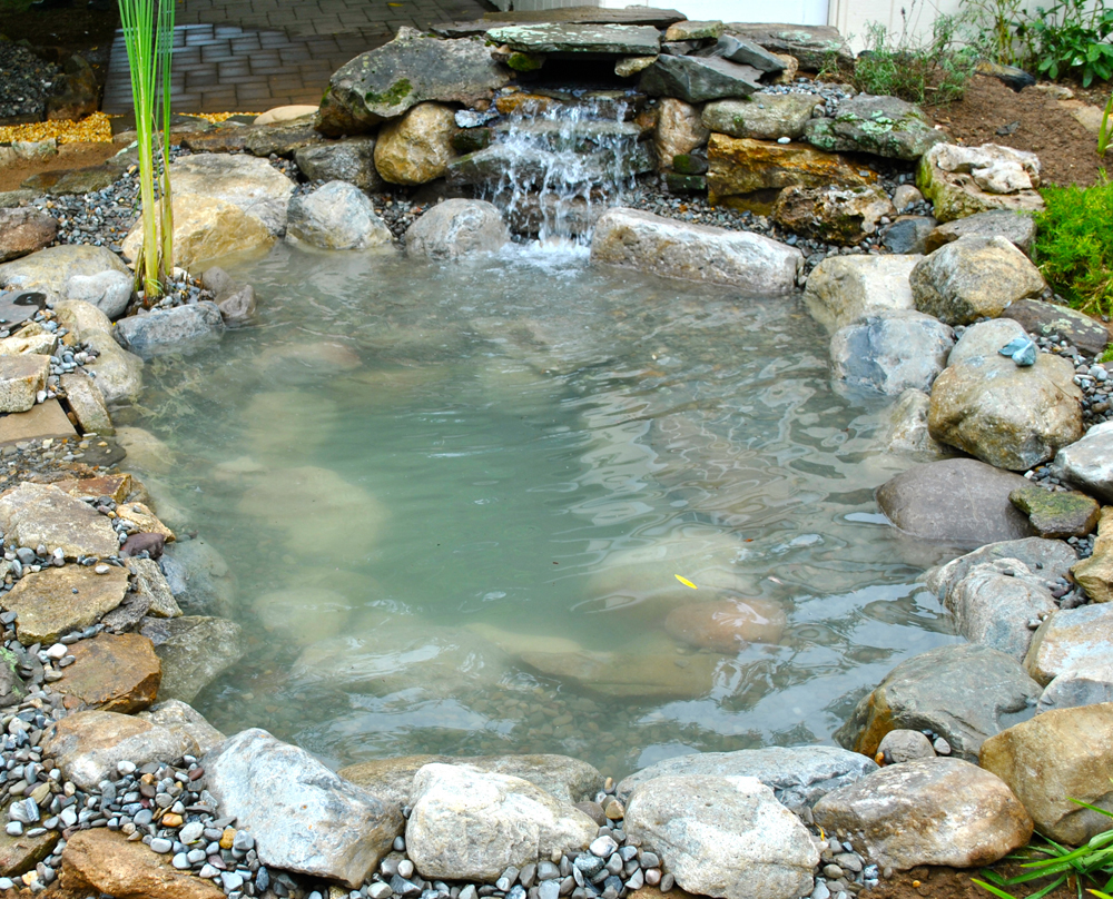 Backyard Koi Ponds Water Garden Installation In Westfield NJ