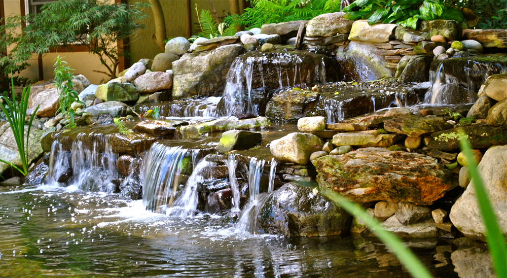 Backyard Koi Ponds & Water Garden Installation in ...