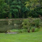 pond dredging services oklahoma