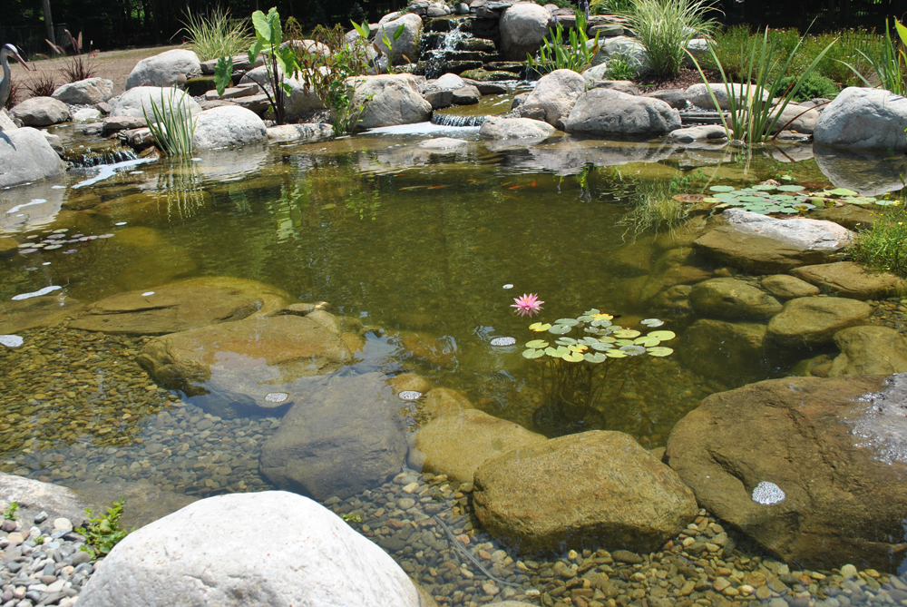 Koi Pond Water Garden Installation Short Hills NJ Union County