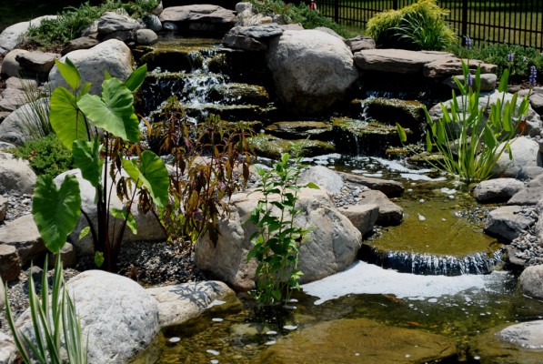 Backyard Koi Ponds & Water Garden Installation in Westfield NJ | Full ...