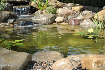 water garden koi pond installation project in Madison, New Jersey 07940