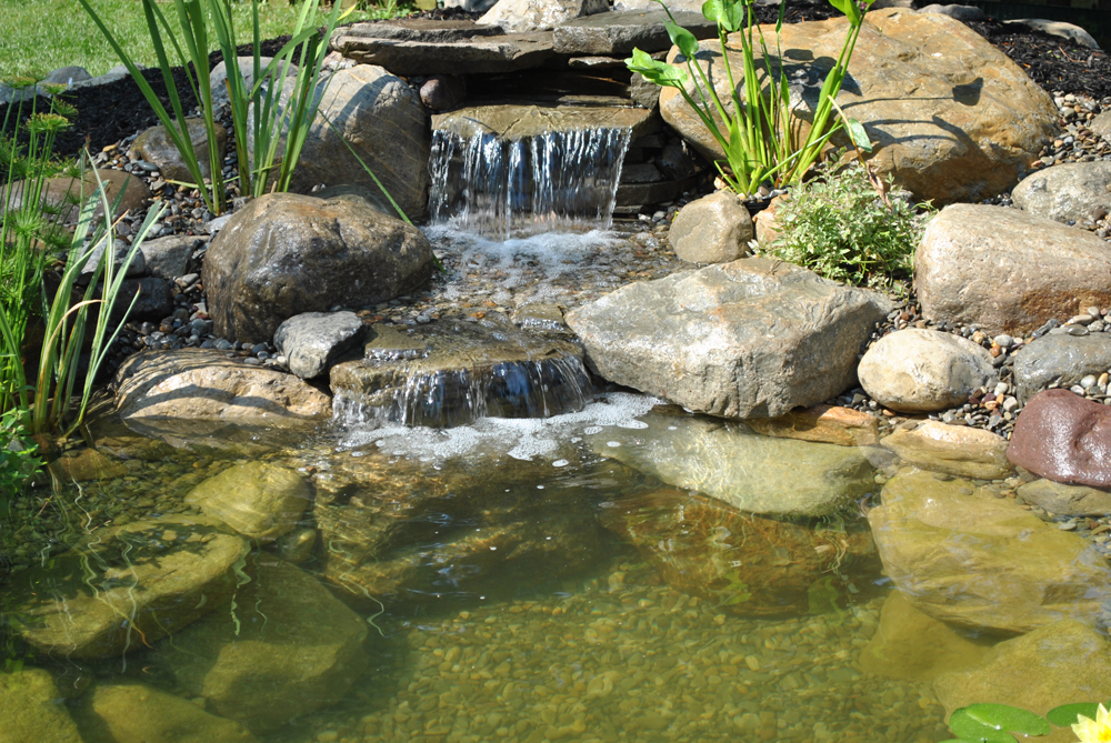 water garden installation service madison, nj 07940 Morris County, NJ