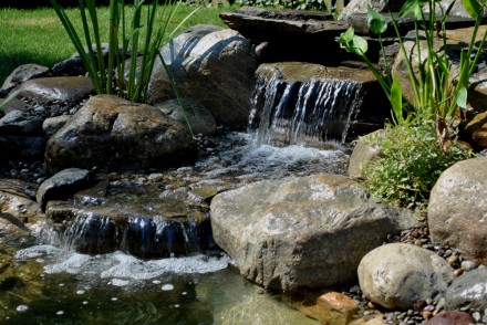 water garden koi pond installation project in Madison, New Jersey 07940