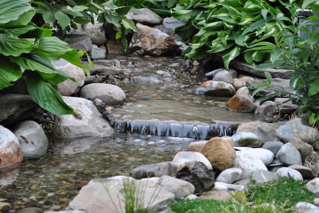 Chatham NJ water garden install 07928 Morris county NJ