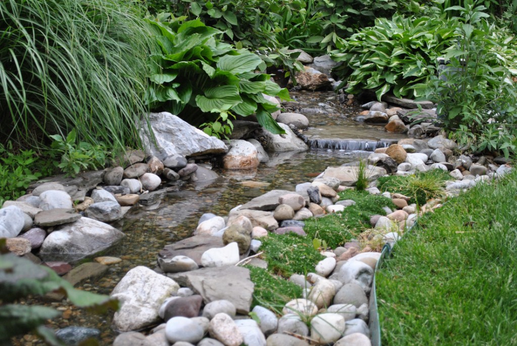 koi pond water garden install Chatham NJ 07928 Morris County