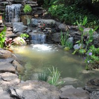 Pond Repair Services New Jersey