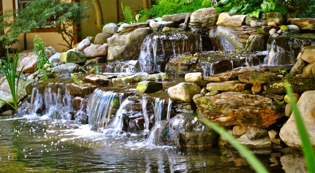 Water Garden Koi Pond Waterfall Hillsborough NJ 08844