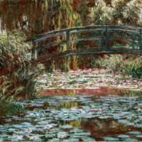 monets water lily new jersey