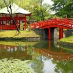 koi pond new jersey