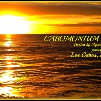 cabomonium 2013