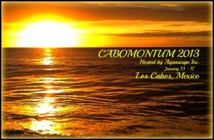 cabomonium 2013