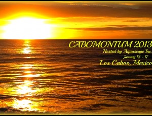 cabomonium 2013