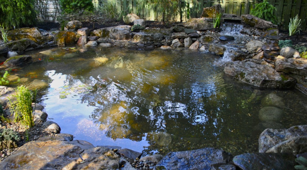 koi pond installation Plainfield NJ