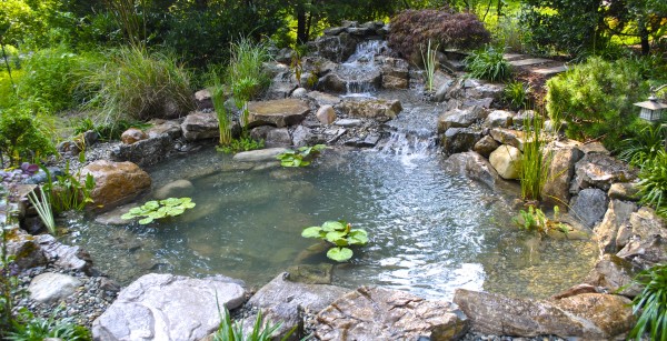 Water garden koi pond installation in Westfield, New Jersey 07090