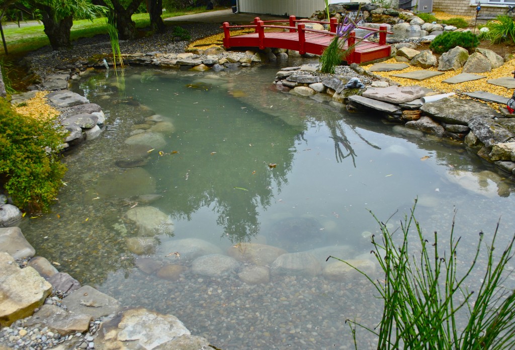 koi pond installation Long Branch NJ