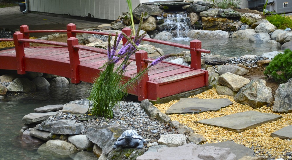 koi pond installation Long Branch NJ