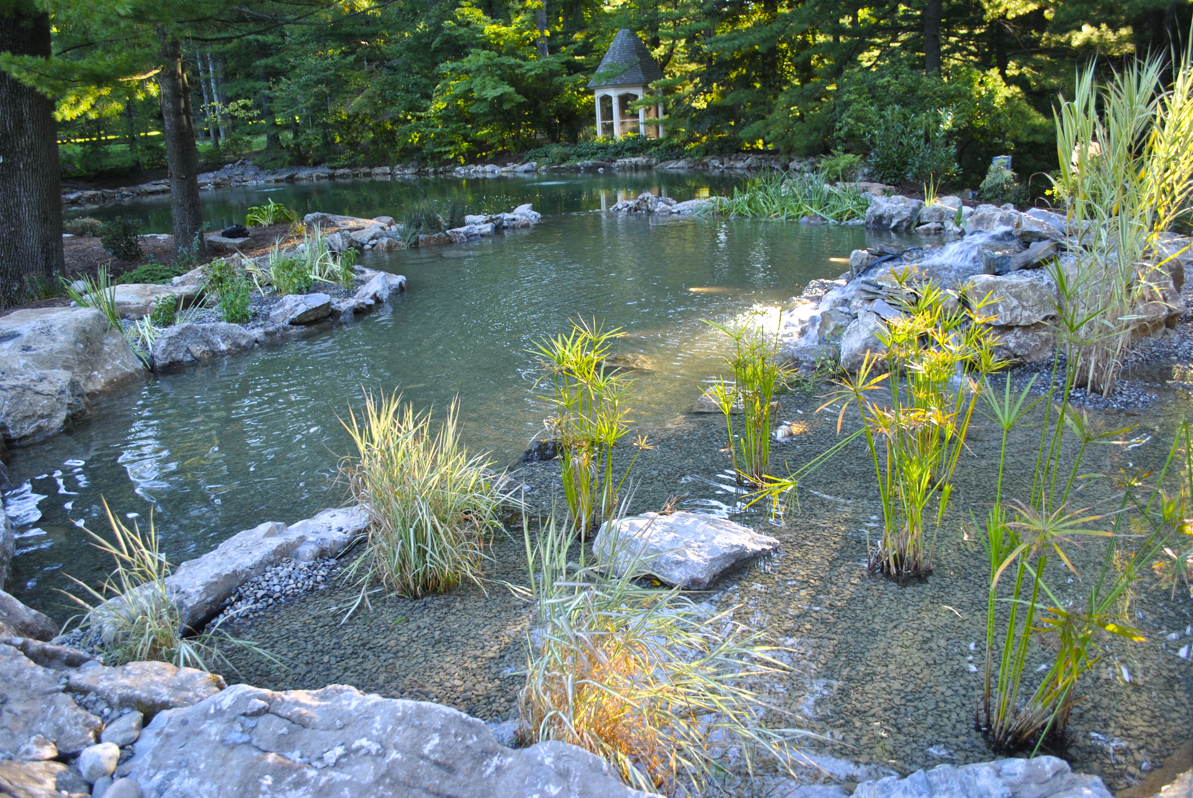 water garden Princeton NJ