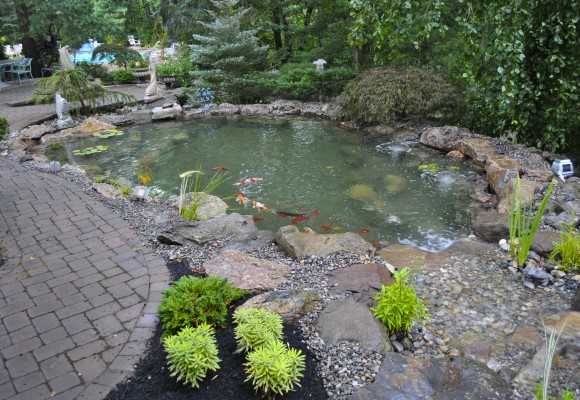 water garden koi pond installation project in ,Warren New Jersey