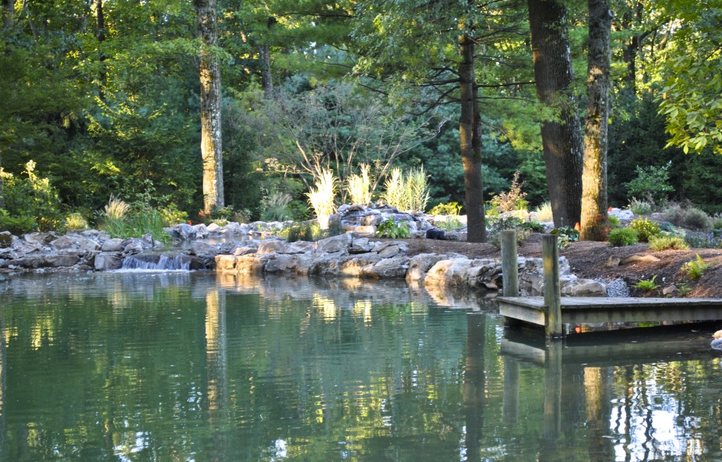 water garden Princeton NJ