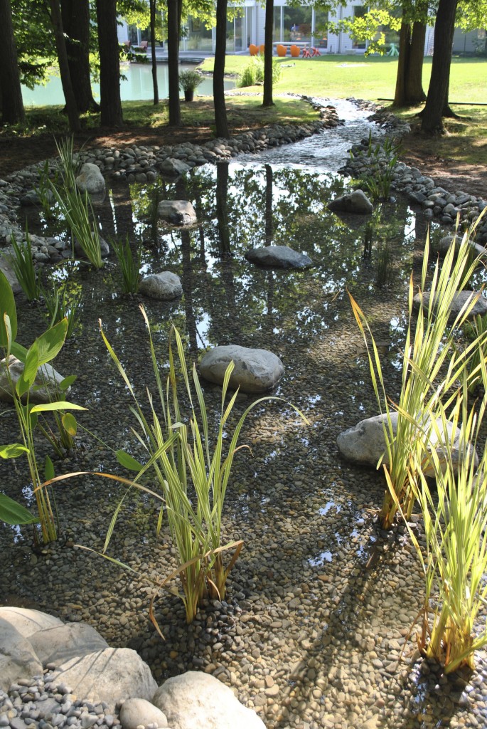 water garden Morristown NJ