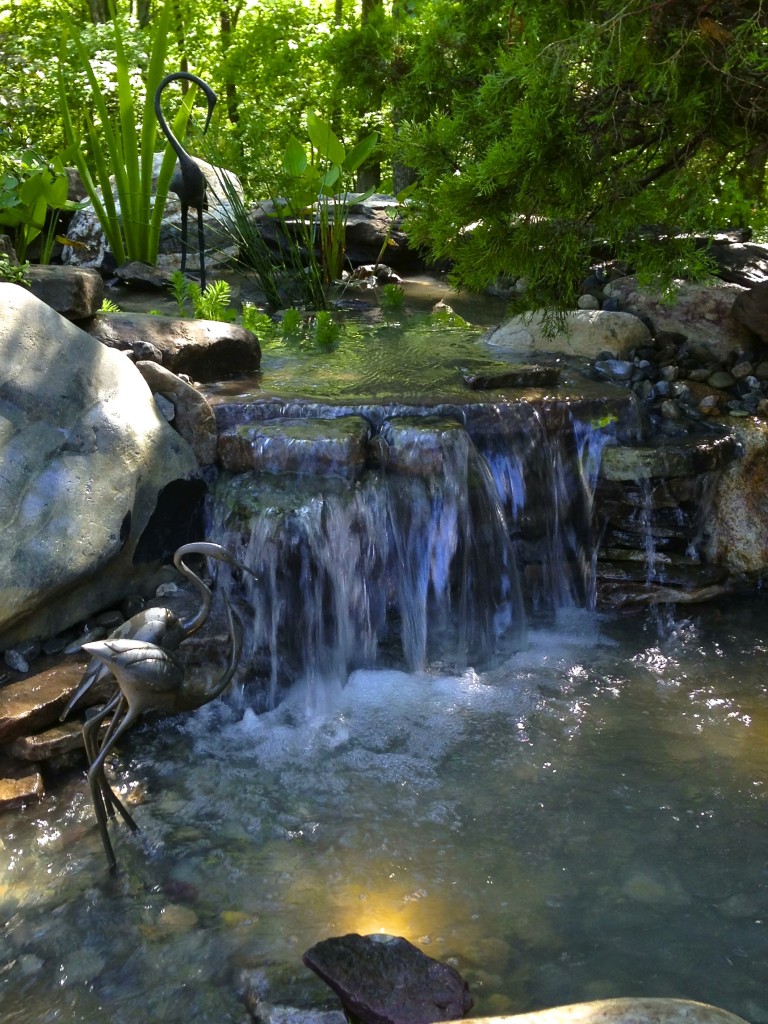water garden Ringoes NJ