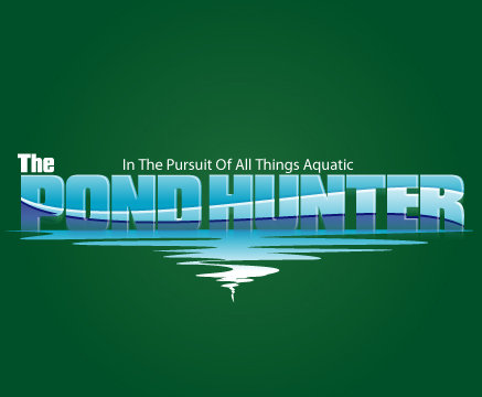 Pond predators and how to deter them on The Pond Hunter Radio!