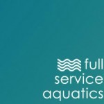 New Jersey pond services and koi