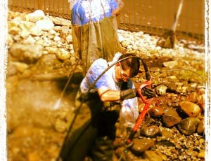 NJ Spring Pond Cleaning