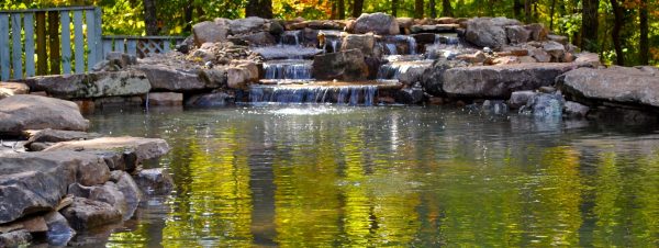 swimming pool koi pond