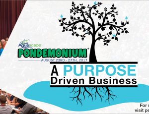 pondemonium