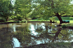 Natural pond