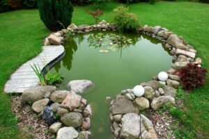 Koi Pond spring cleaning